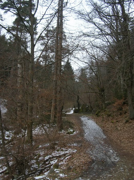 DSCN3095