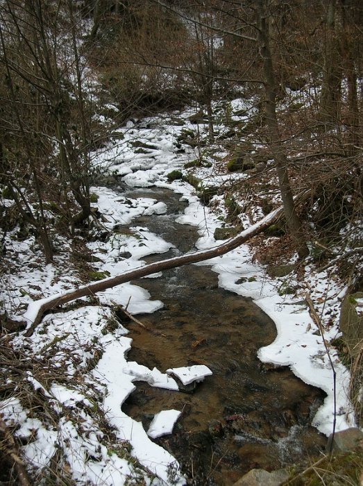 DSCN3096