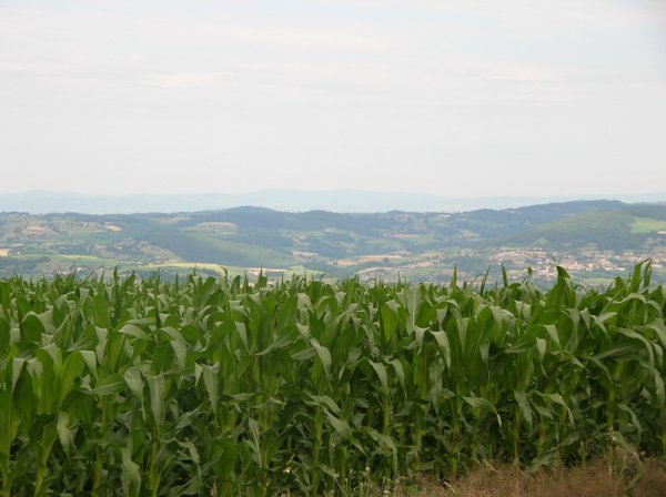 DSCN09983.JPG