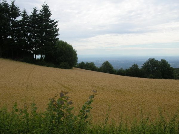 DSCN09985.JPG