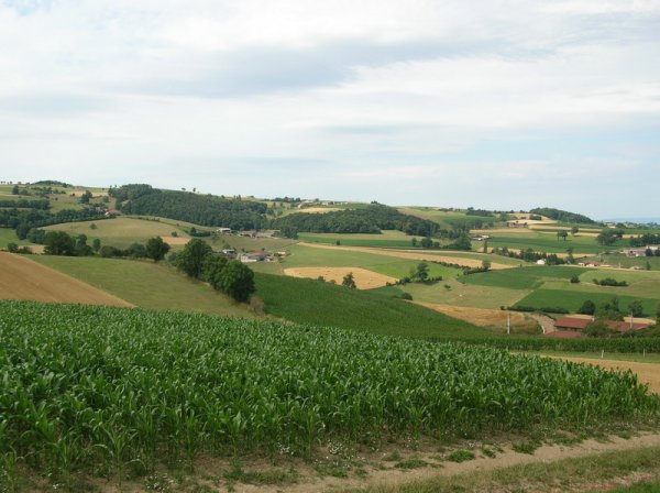 DSCN09994.JPG